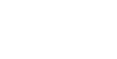 Velocity Fund